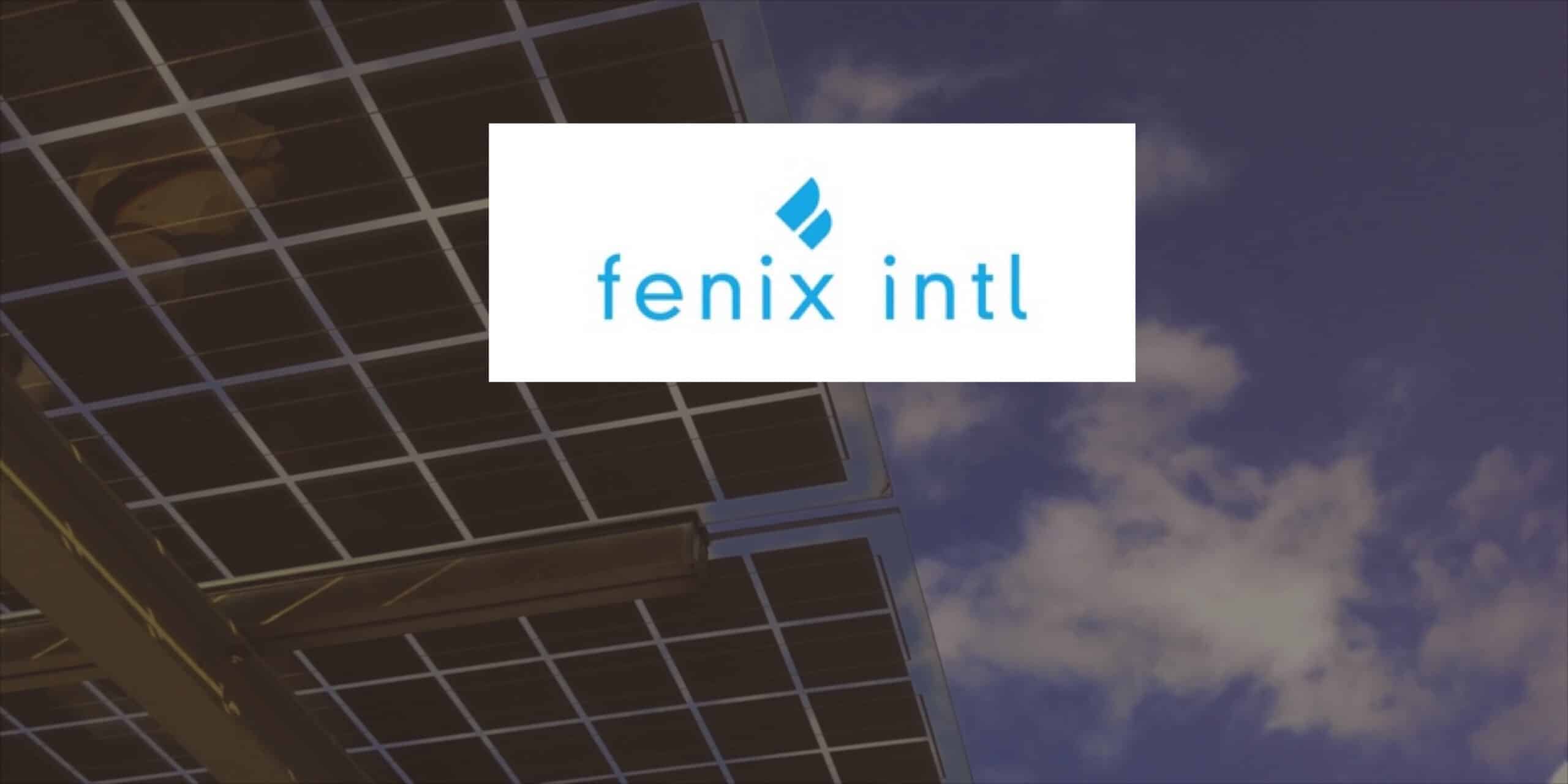 Fenix International – Competitive Intelligence and Process Benchmarking